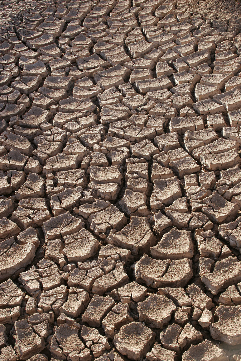 dry desert