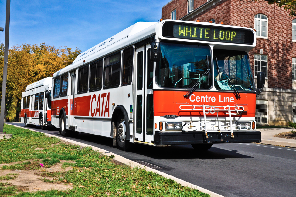 White Loop