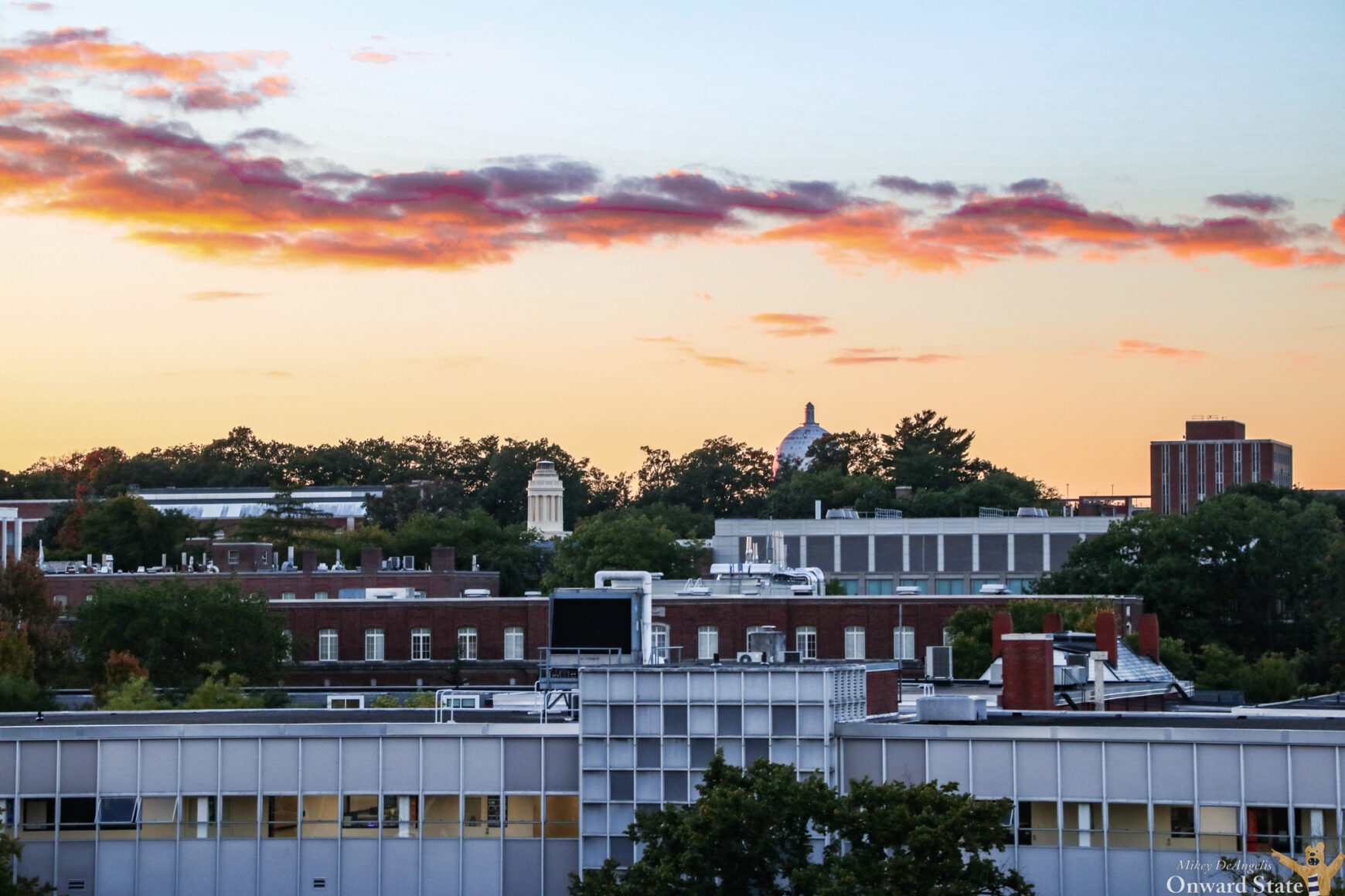Your Guide To State College's Valentine's Day Events | Onward State