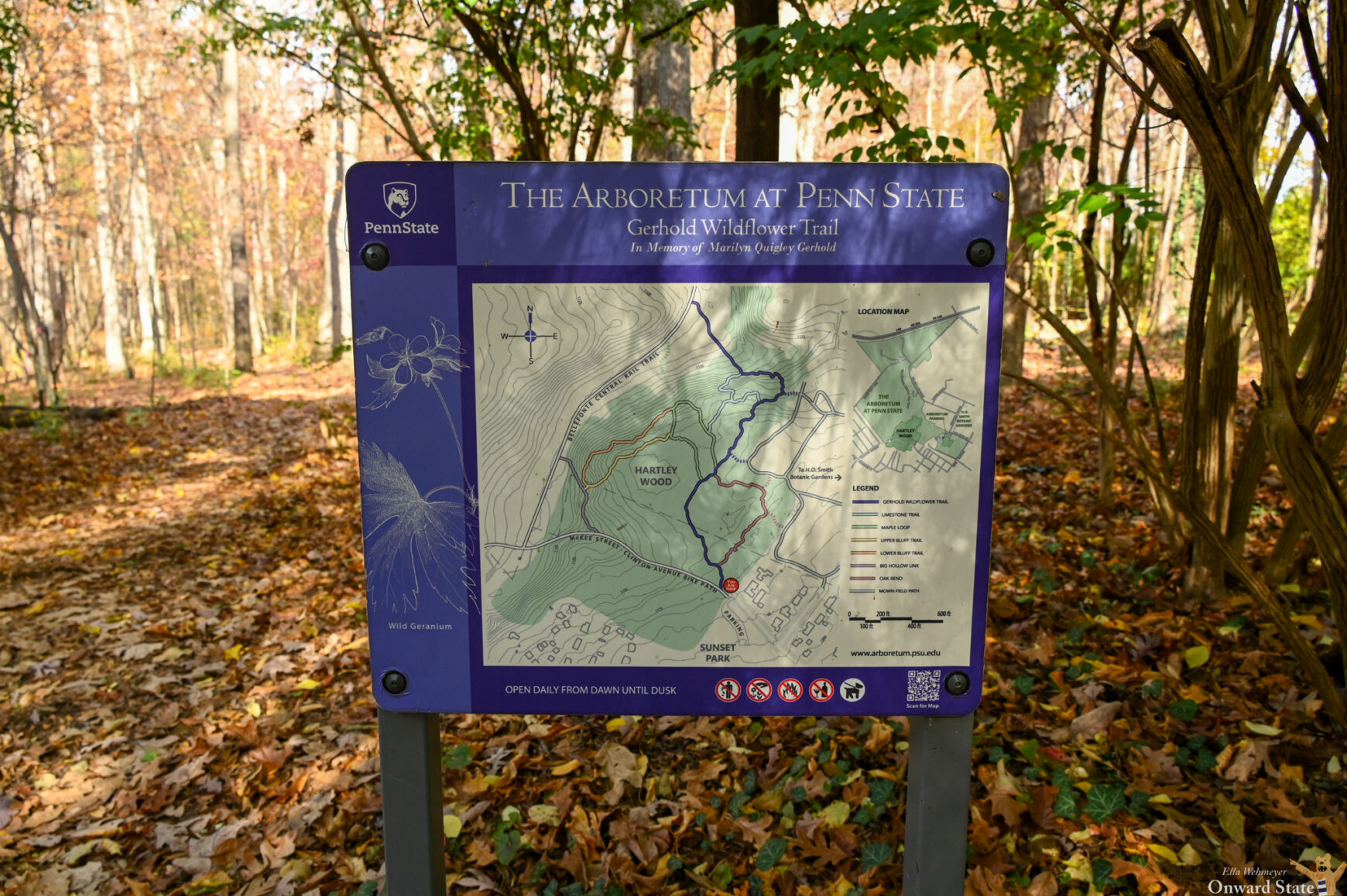 Exploring Walking Trails in State College