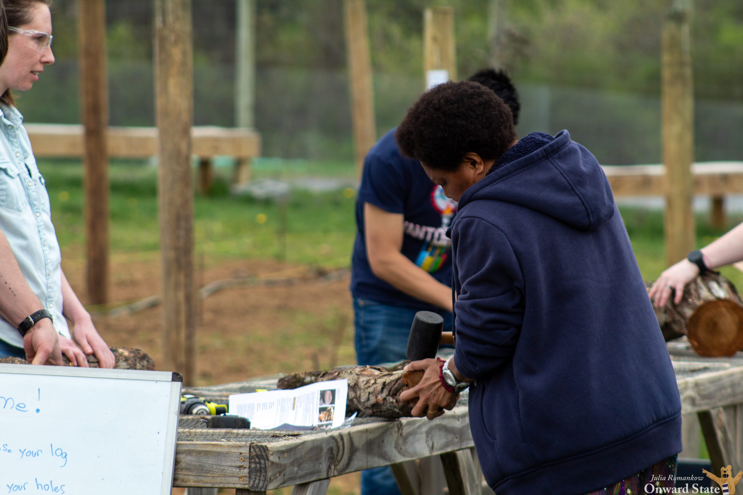 Penn State's 11th Annual Harvest Festival Set for September 17