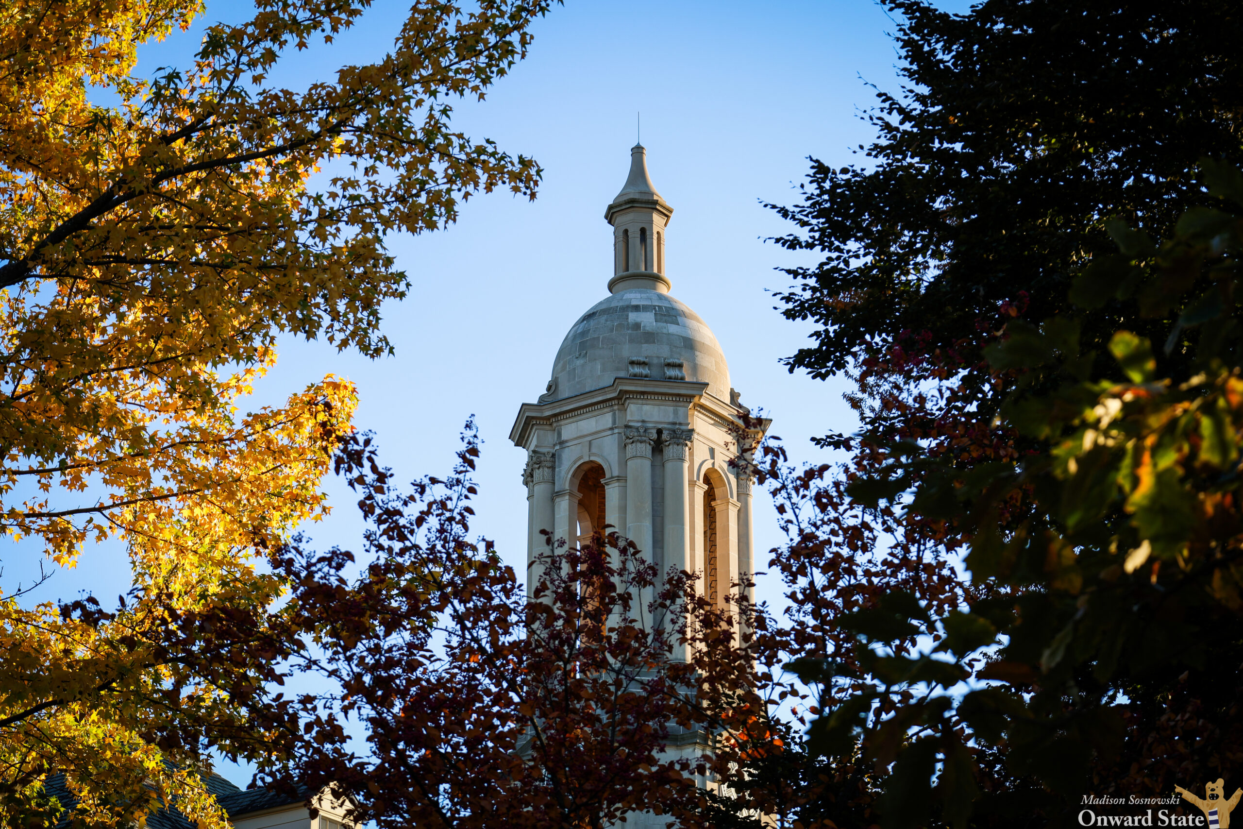 Celebrating Fall in State College: A Draft of Seasonal Favorites