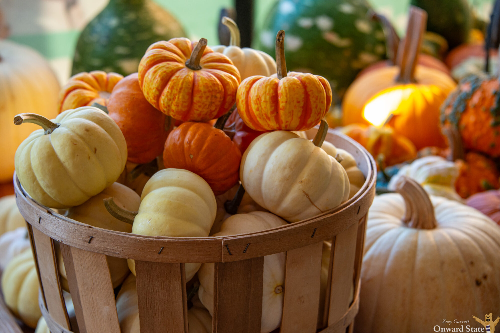 Pick Of The Patch: Your Guide To Fall Fun Near Penn State | Onward State