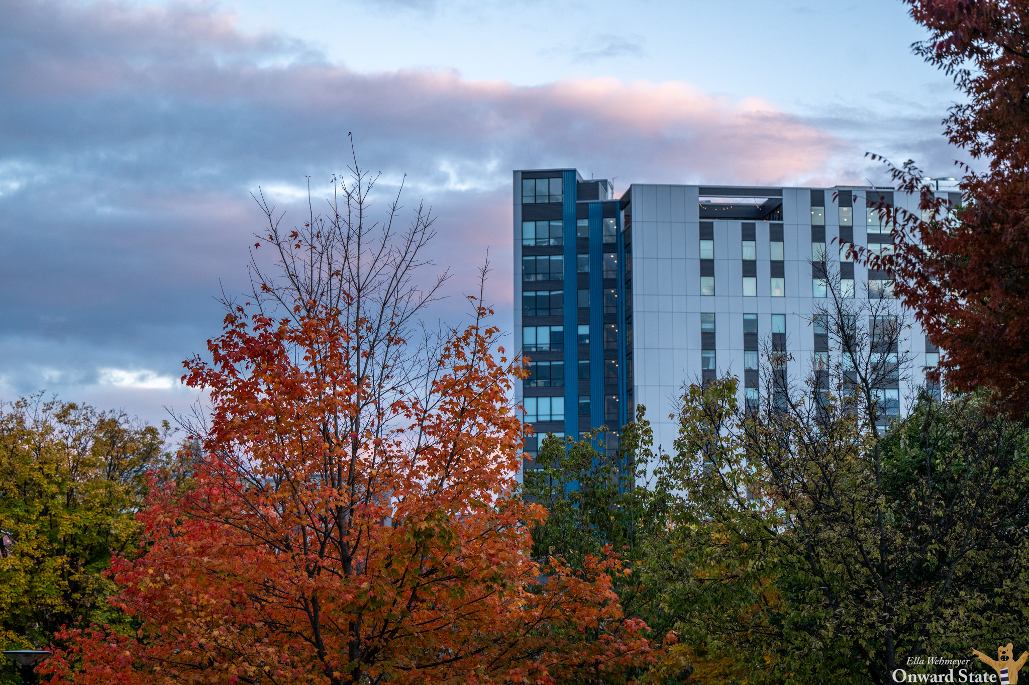 Insights into Penn State Apartment Living