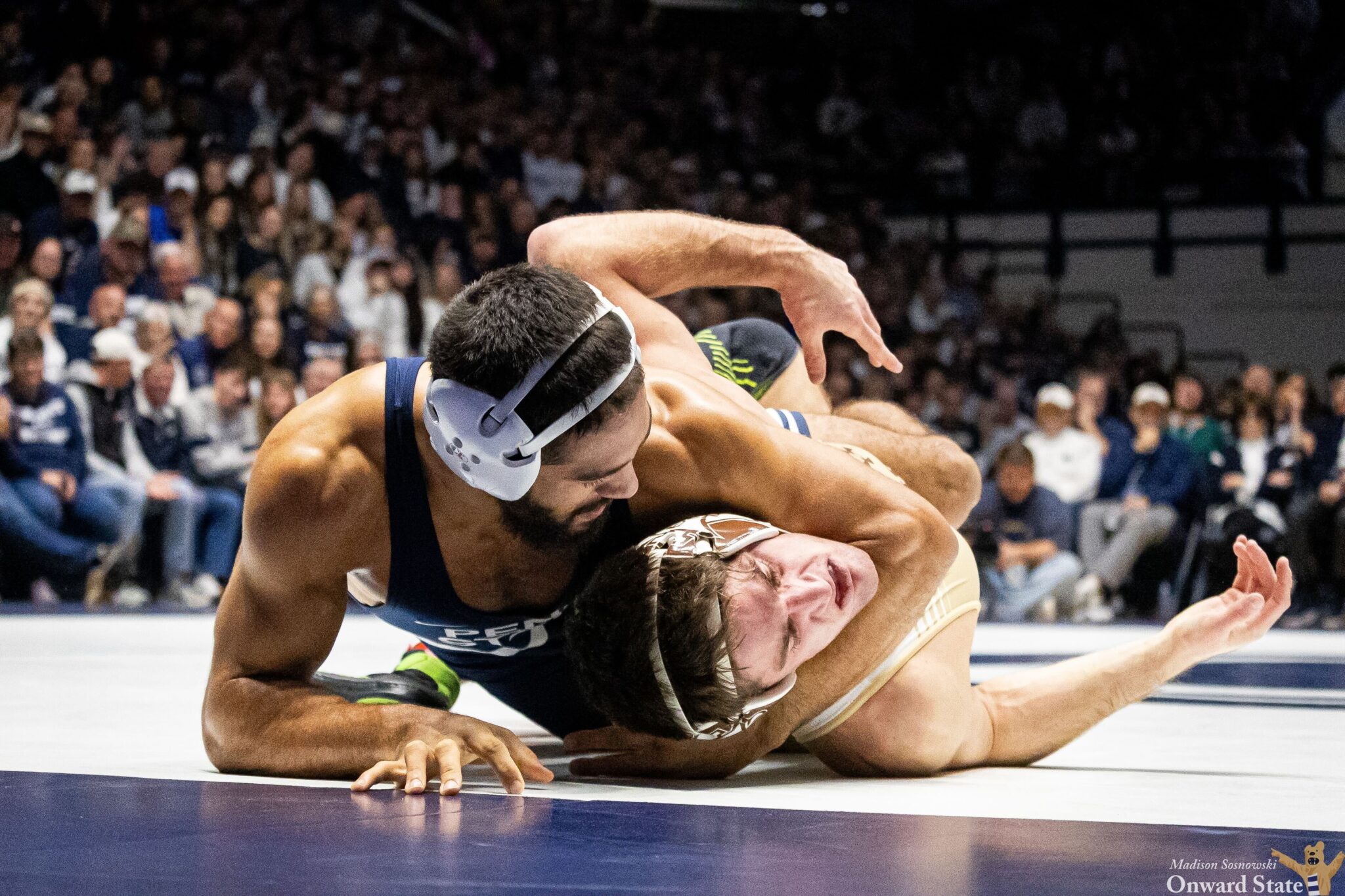 No. 1 Penn State Wrestling Soars Over No. 14 Lehigh 36-6 | Onward State