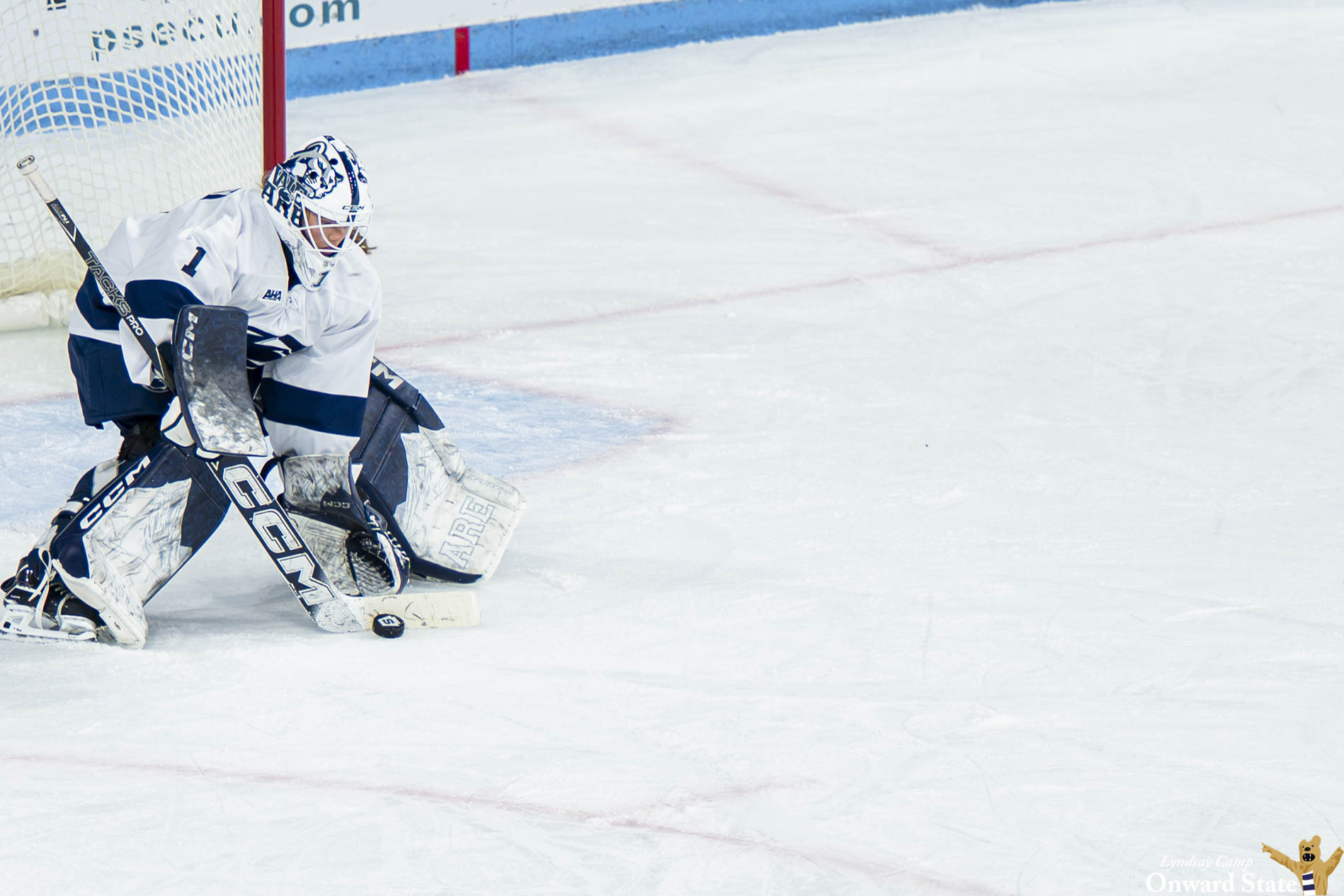 Penn State Women's Hockey Players Earn AHA Honors