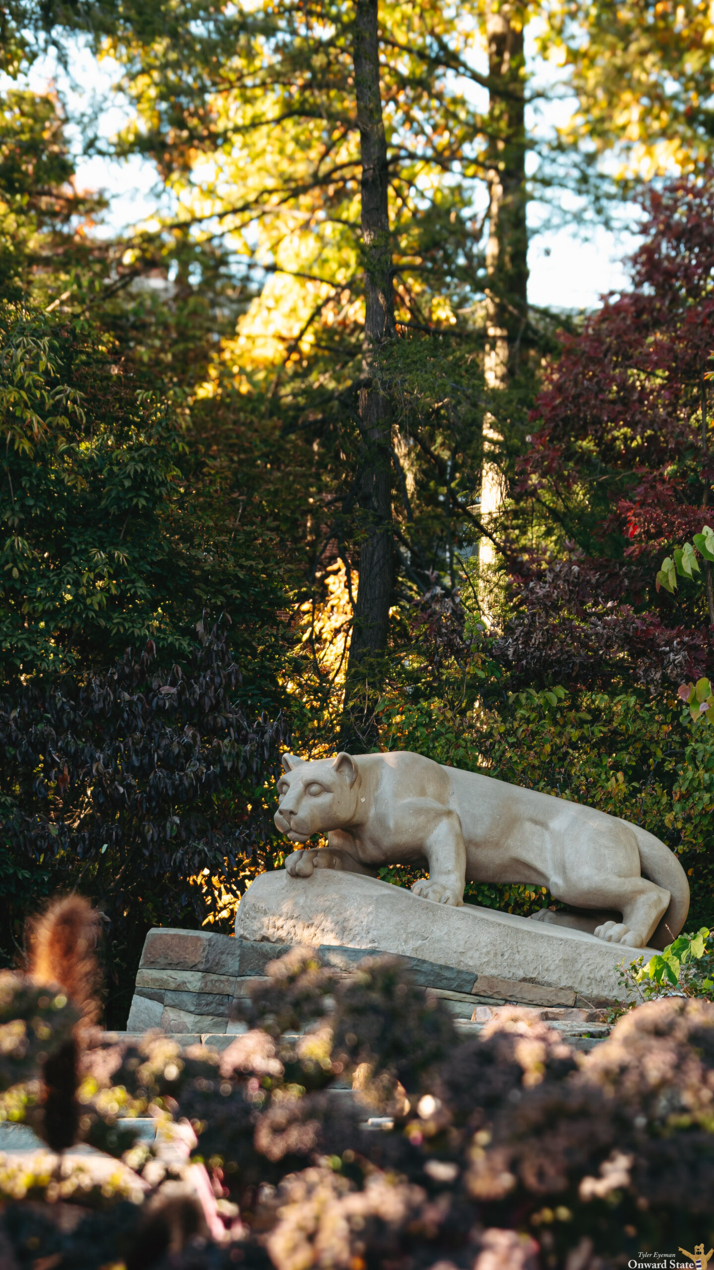 Onward State | Tyler Eyerman